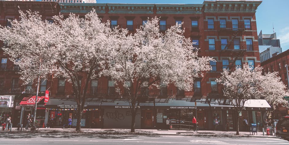 Shorts Weather Is Back in NYC, and Your Apartment Knows It