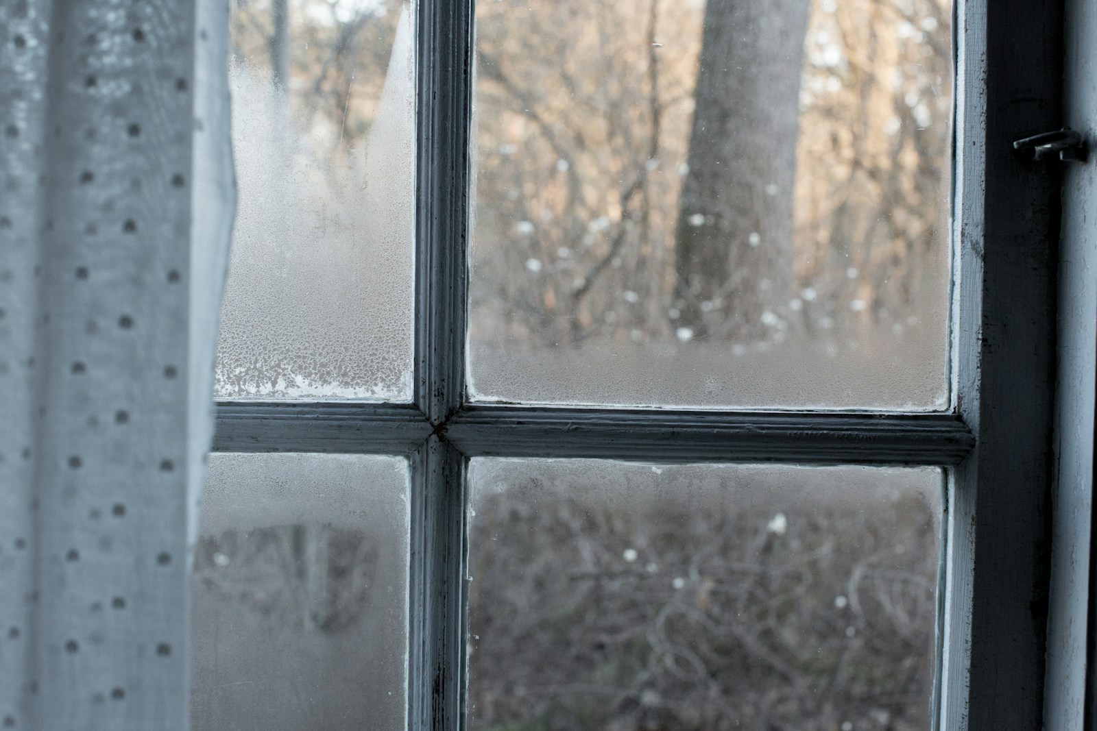 Milky fog clouding the glass panes of an old white-painted window, with bare winter trees blurred outside