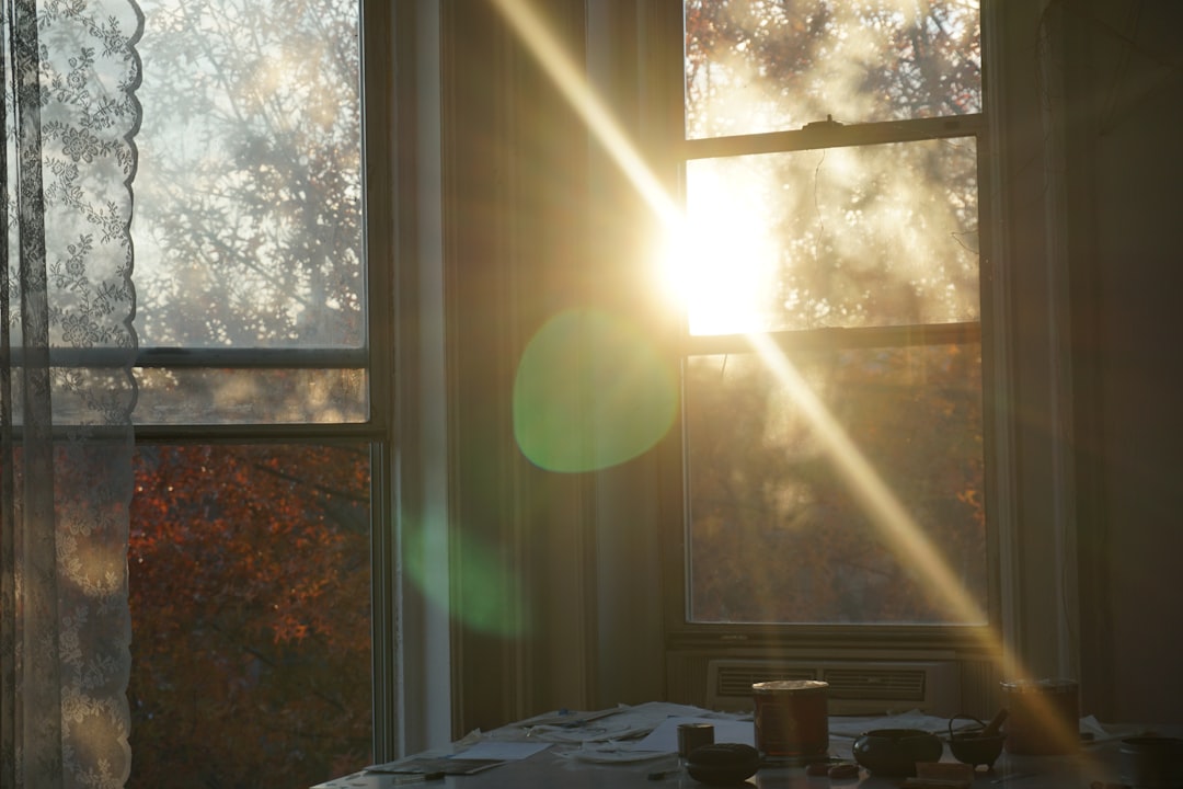Why Your NYC Apartment Gets Dirty Again So Fast