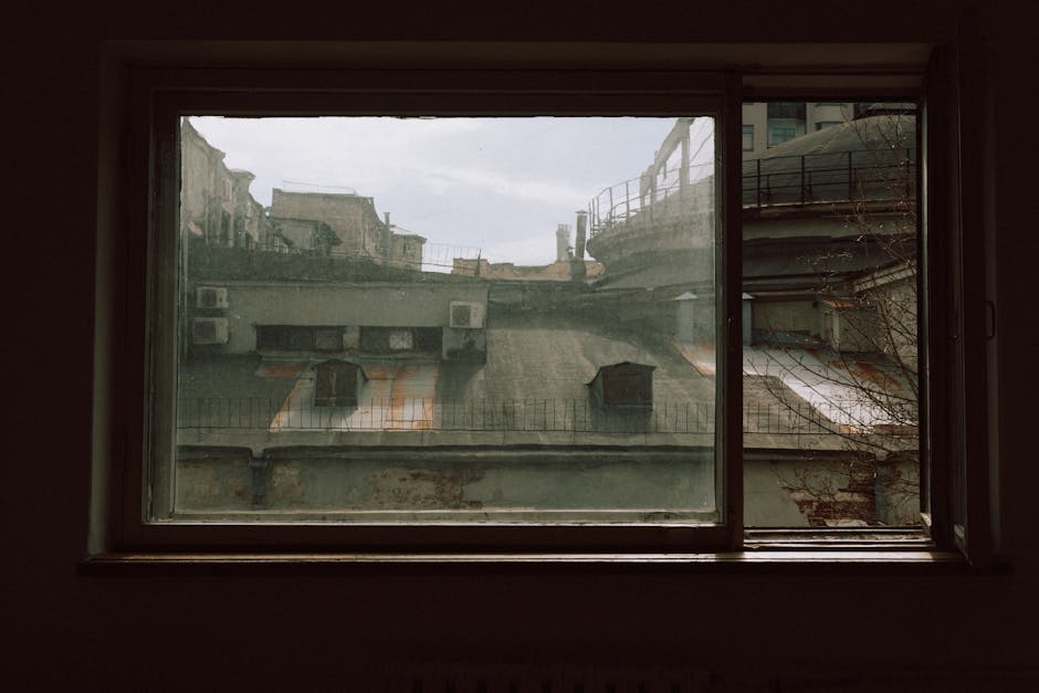 A NYC apartment windowsill with visible dust accumulation, afternoon light coming through, city buildings visible outside the window