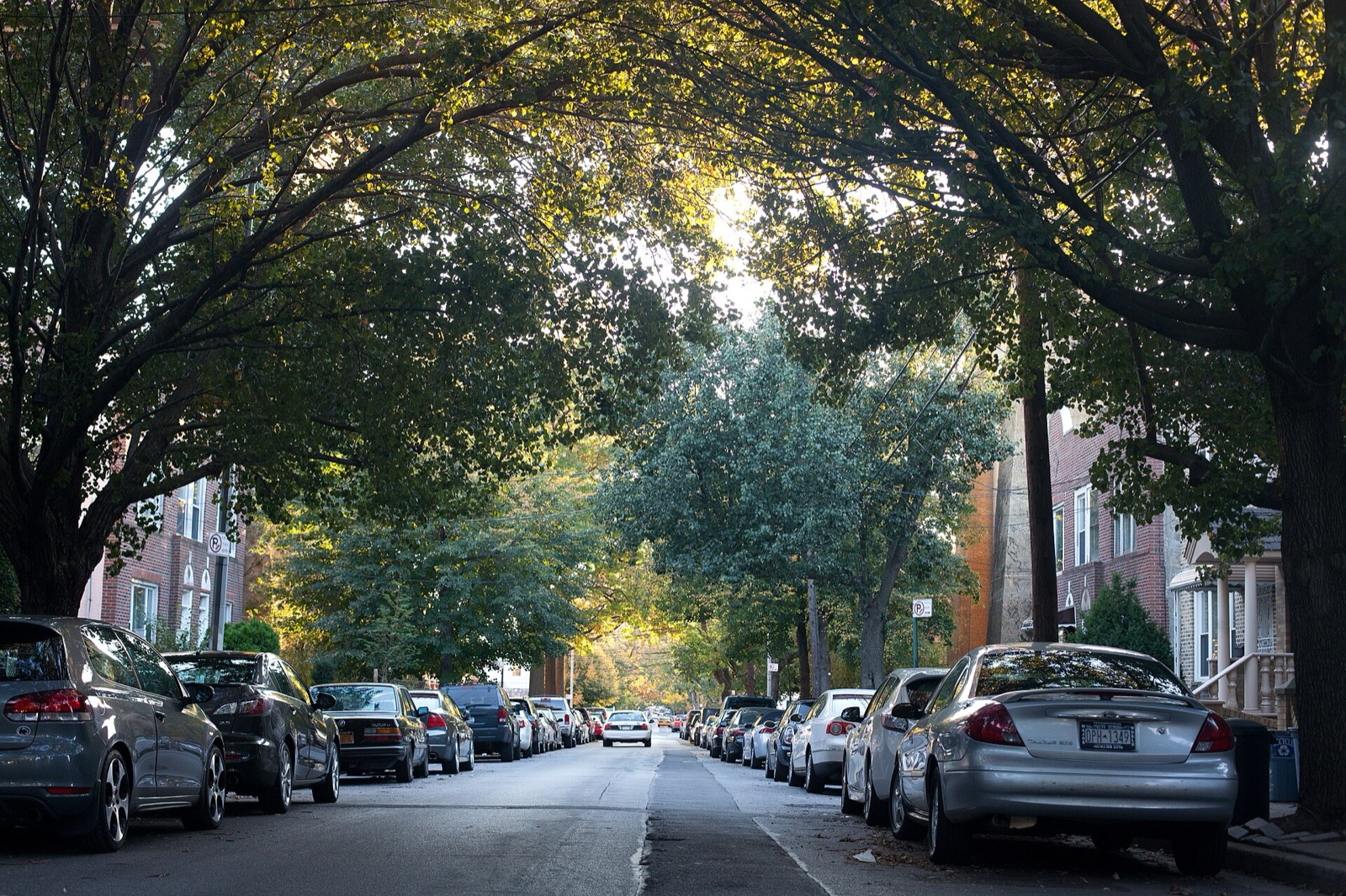 Tree-lined residential street in the Ditmars section of Astoria with pre-war brick rowhouses and autumn foliage