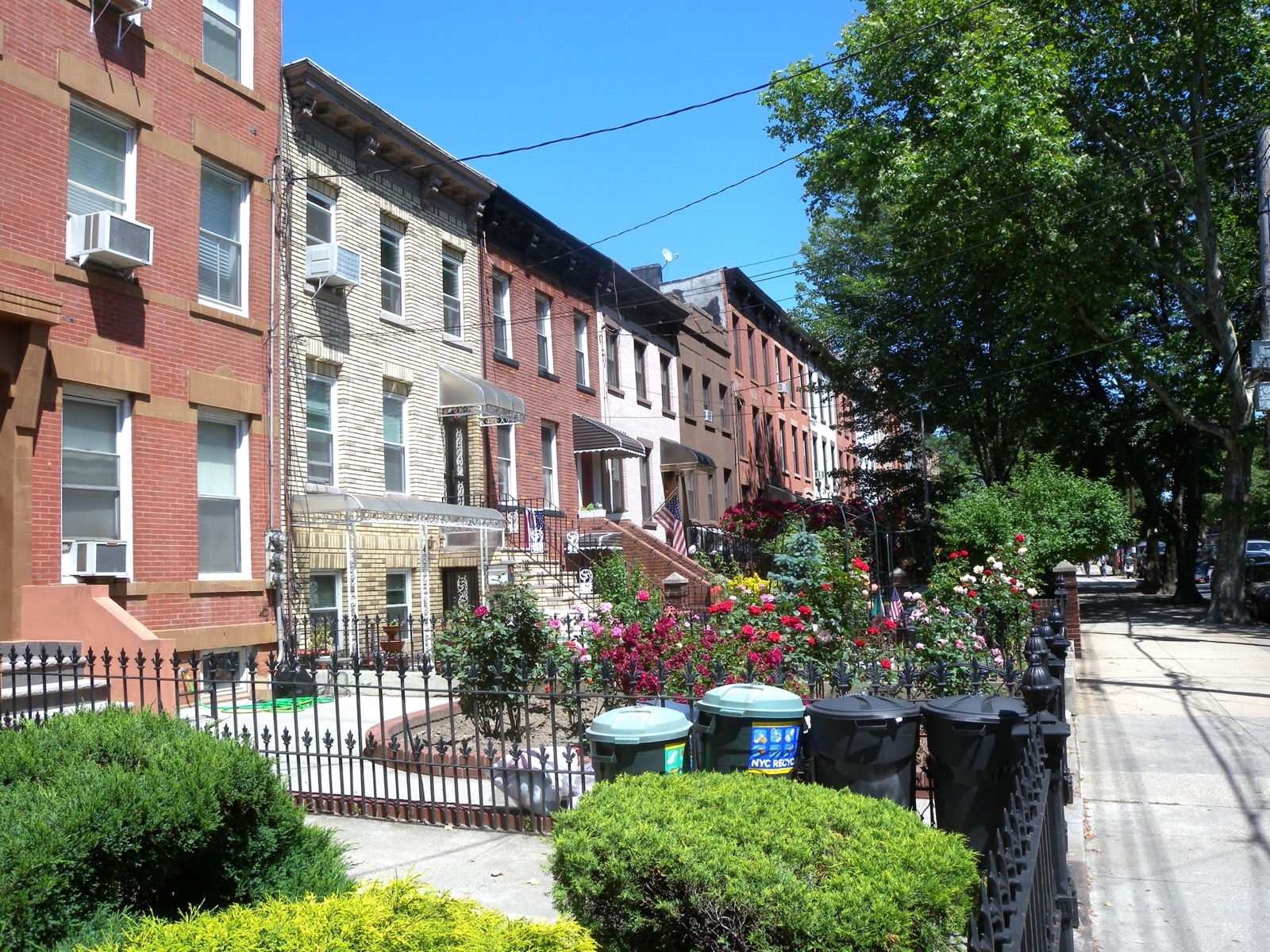Carroll Gardens, Brooklyn — where Maid Marines provides professional cleaning services