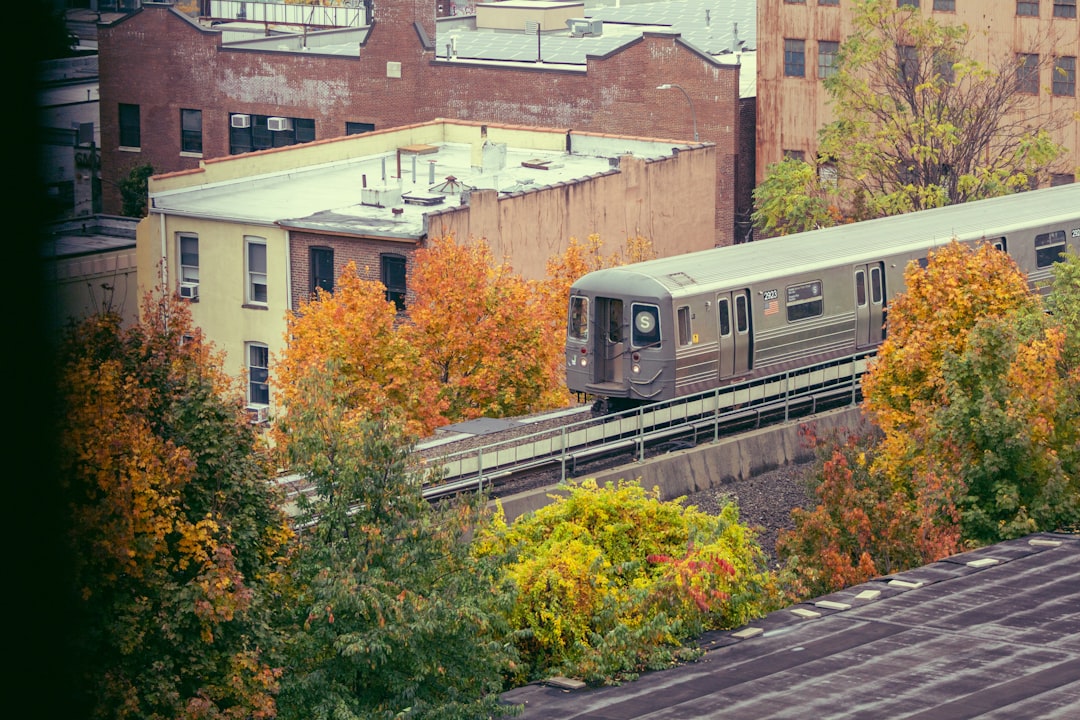 City Line, Brooklyn — where Maid Marines provides professional cleaning services