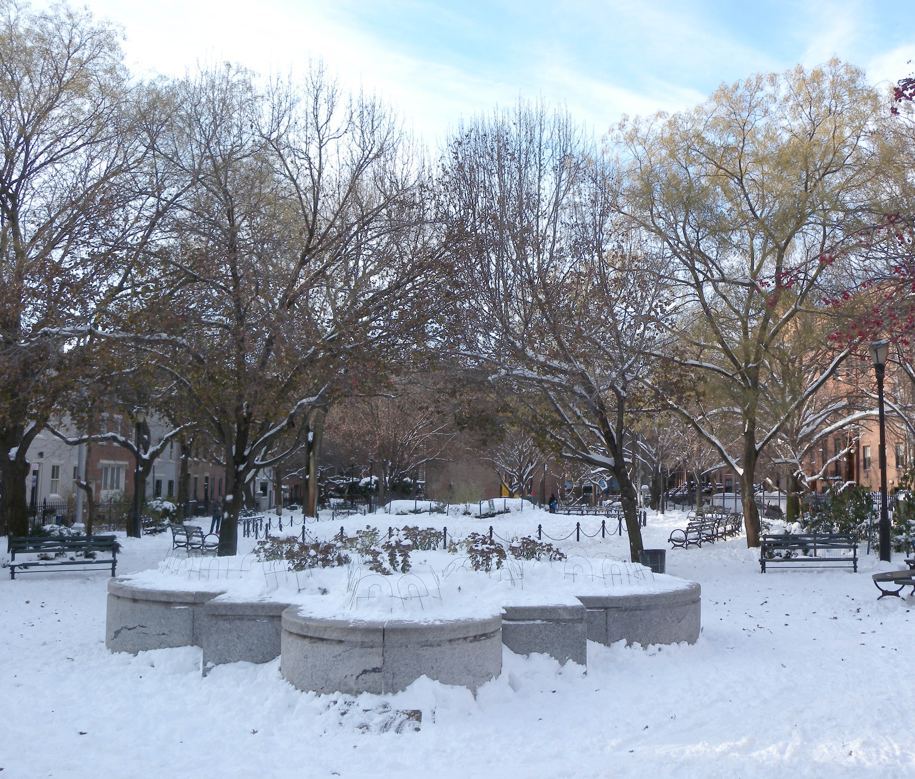 Cobble Hill Park on Congress Street in Brooklyn, a small triangular park surrounded by historic brownstone rowhouses with bare winter trees