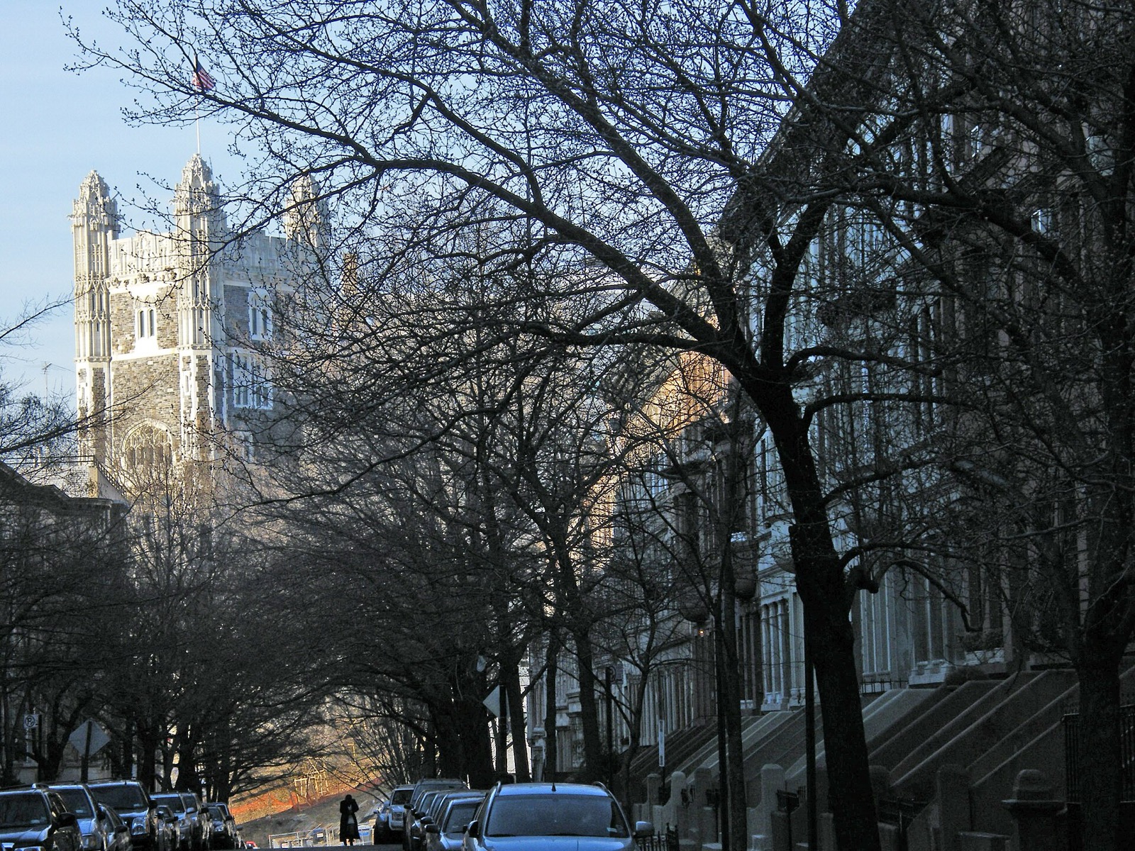 Tree-lined residential street in the Hamilton Heights Historic District showing three- and four-story Romanesque Revival and Renaissance Revival brownstone row houses with elevated stoops and carved ornament