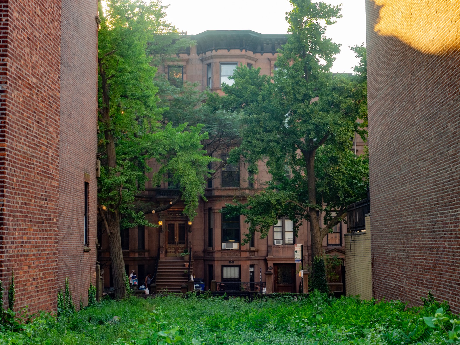 A Park Slope brownstone facade in summer showing ornate carved stone details, tall windows, and the characteristic warm brown sandstone