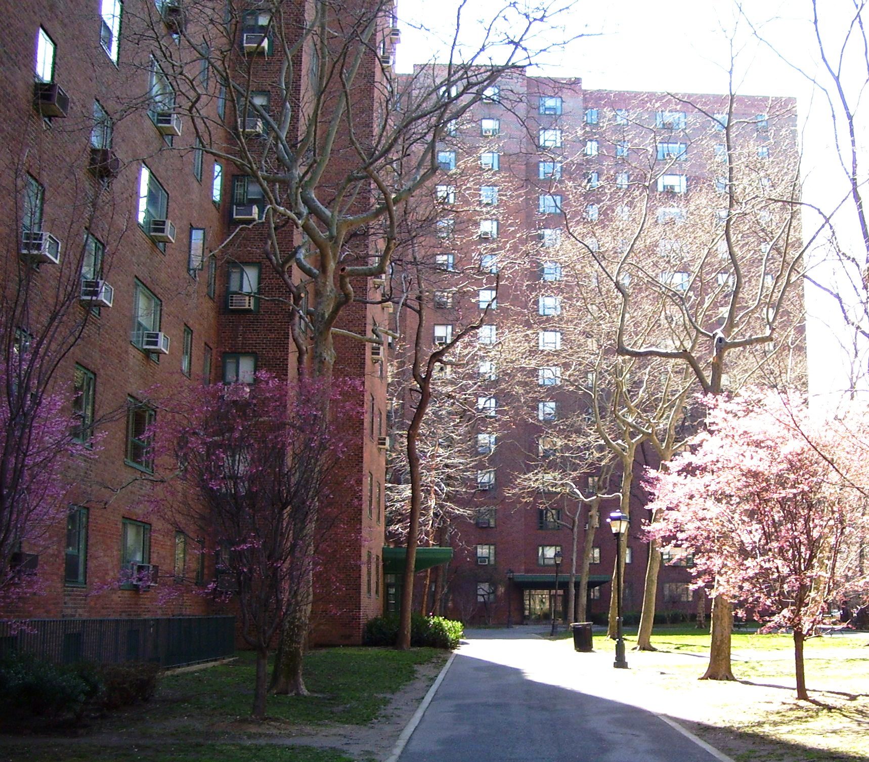 Tree-lined pedestrian walkway through Peter Cooper Village with mature canopy trees, gardens, and red-brick towers visible beyond the greenery