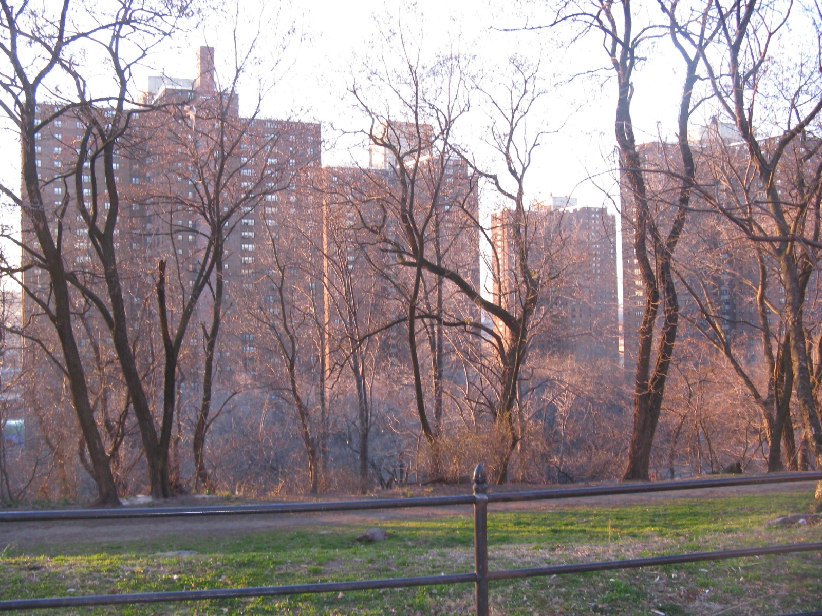 The rocky escarpment of Coogan's Bluff rising above the Polo Grounds site, showing the dramatic 175-foot elevation change that defines this neighborhood's geography