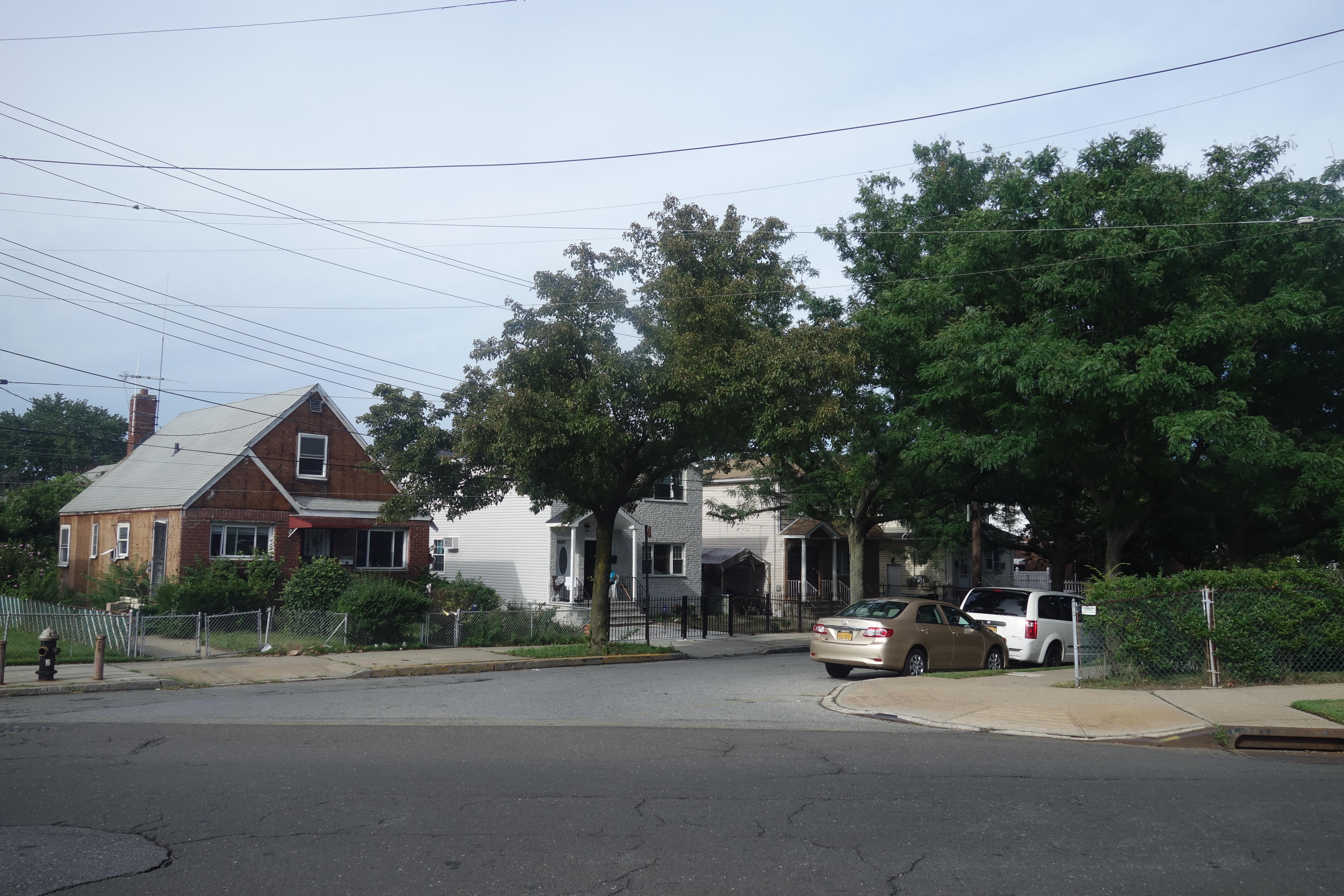 Brick Cape Cod and single-family homes on a tree-lined Springfield Gardens block showing the characteristic front lawns, driveways, and residential setbacks