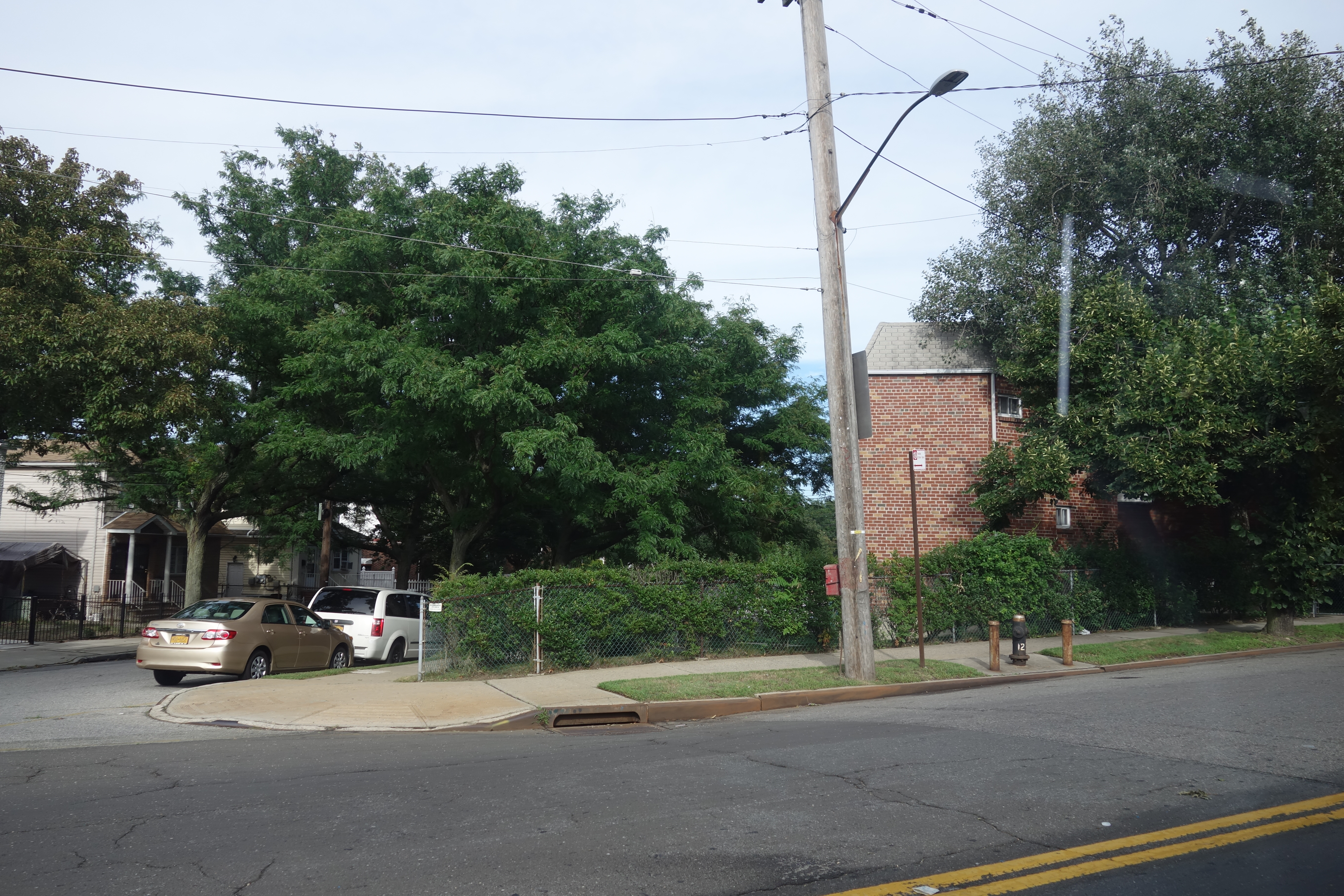 Quiet residential street in Springfield Gardens showing detached single-family homes with front yards, driveways, and street trees along a typical block