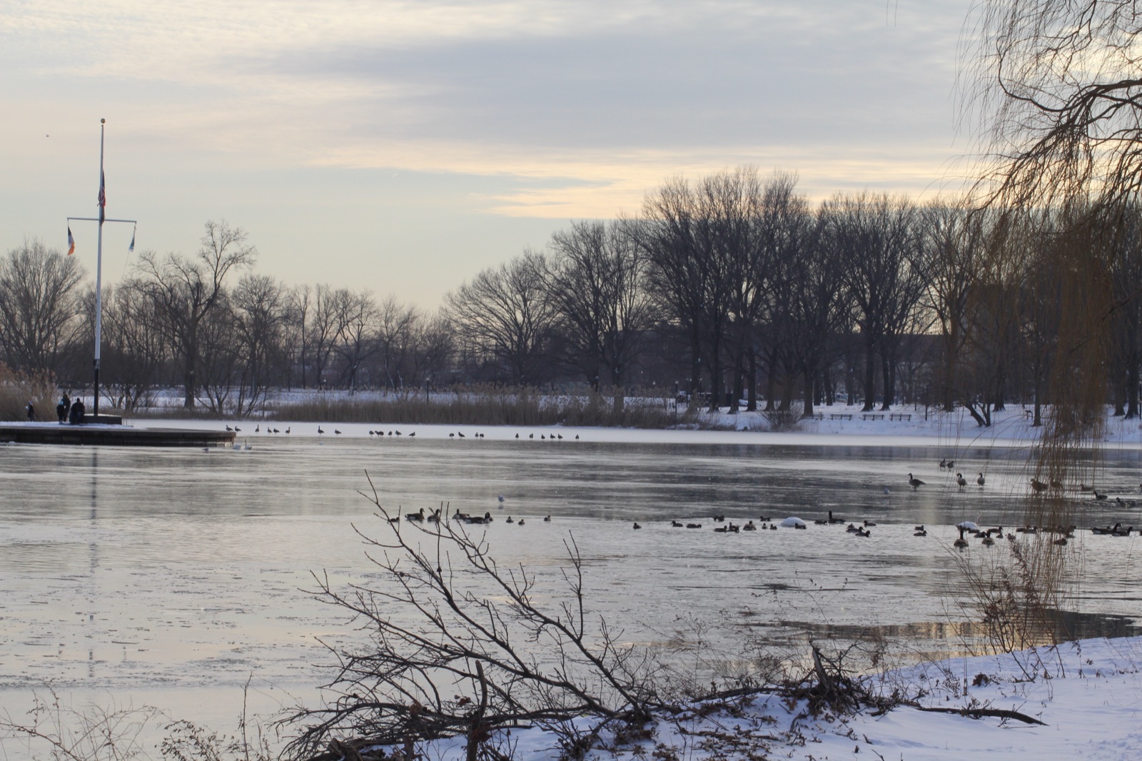 View of Baisley Pond Park looking south, one of the largest green spaces in southeast Queens at 97 acres