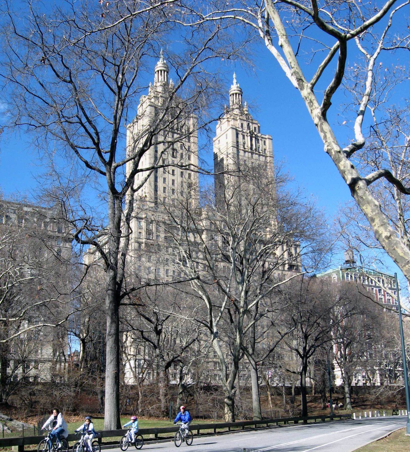 The twin towers of the San Remo apartment building rise above the trees of Central Park on a clear winter day