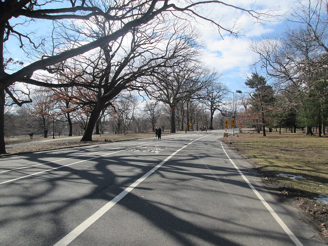 The car-free loop drive in Prospect Park, Brooklyn, lined with mature bare trees in early spring, pedestrians walking in the distance